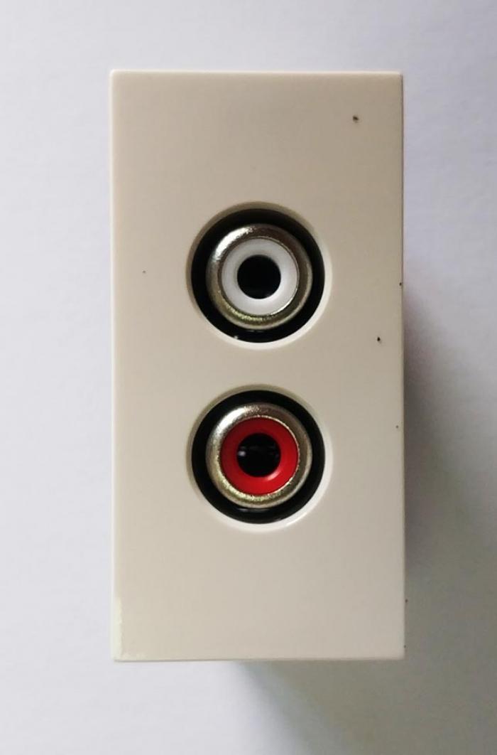 Продукт Лицев панел 22.5х45 мм с 2 аудио изхода RCAна ниска цена с бърза доставка - BestPC.BG