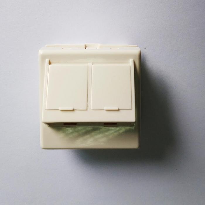 Продукт Лицев панел 45х45 мм с 2xRJ45 порта под ъгъл и капачетана ниска цена с бърза доставка - BestPC.BG