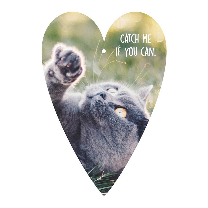 Продукт Gespaensterwald Картичка-таг, коткана ниска цена с бърза доставка - BestPC.BG