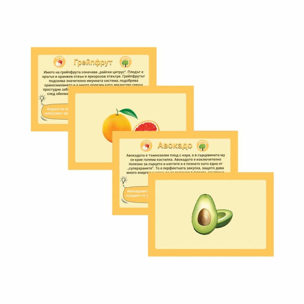 Office 1 Образователни карти - Плодове и зеленчуци, 50 брояна ниска цена с бърза доставка - BestPC.BG