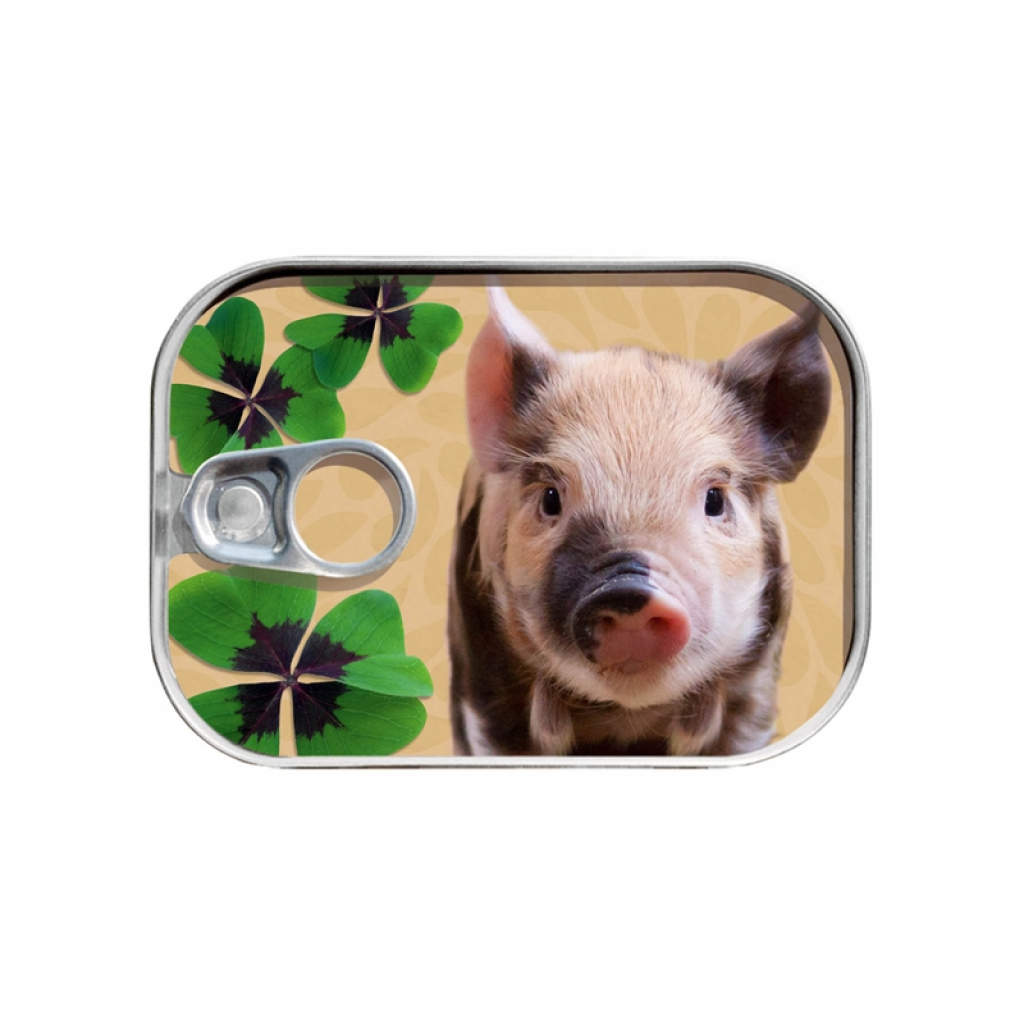 Продукт Gespaensterwald Картичка-консерва Късметлийско прасенцена ниска цена с бърза доставка - BestPC.BG