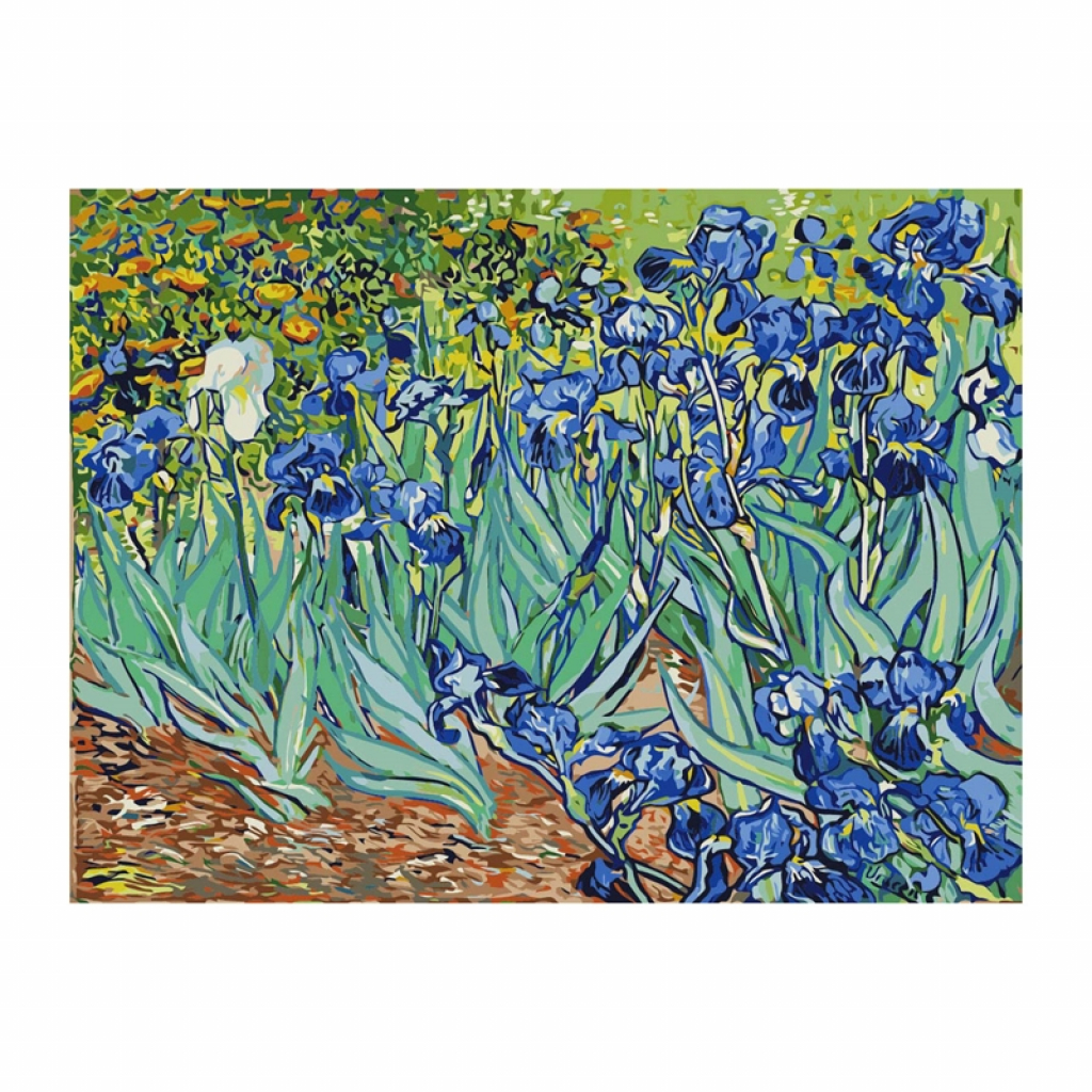 Foska Комплект рисуване по номера Ириси, 40 x 50 cmна ниска цена с бърза доставка - BestPC.BG