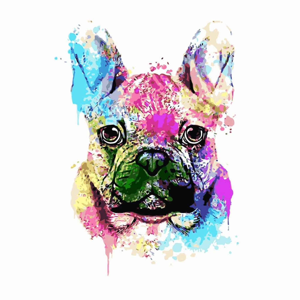 Foska Комплект рисуване по номера Френски булдог, 40 x 50 cmна ниска цена с бърза доставка - BestPC.BG