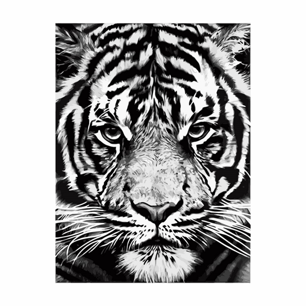 Foska Комплект рисуване по номера Бял тигър, 40 x 50 cmна ниска цена с бърза доставка - BestPC.BG