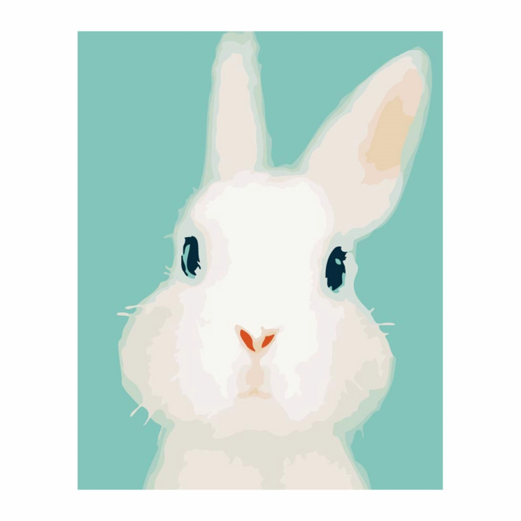 Foska Комплект рисуване по номера Зайче, 40 x 50 cmна ниска цена с бърза доставка - BestPC.BG