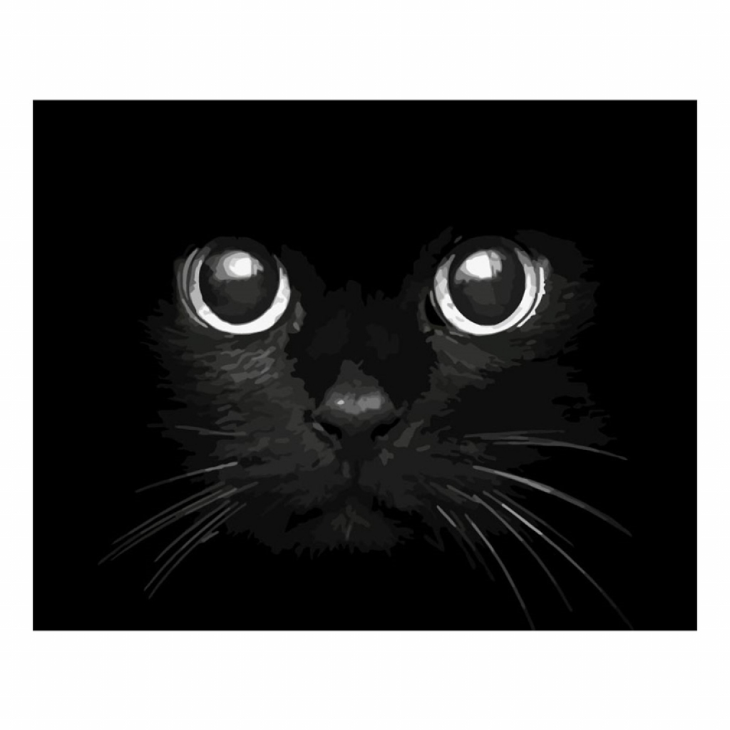Foska Комплект рисуване по номера Котешки очи, 40 x 50 cmна ниска цена с бърза доставка - BestPC.BG