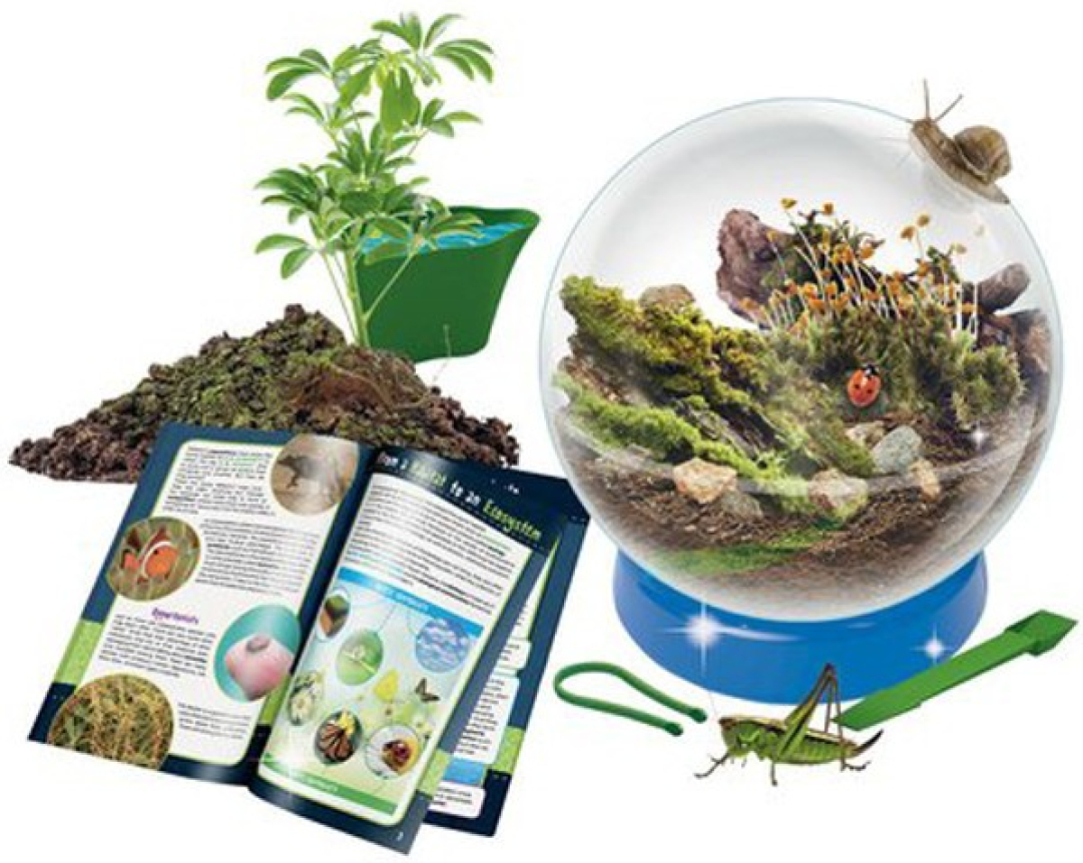 Комплект Малък гений - Експерименти с природатана ниска цена с бърза доставка - BestPC.BG