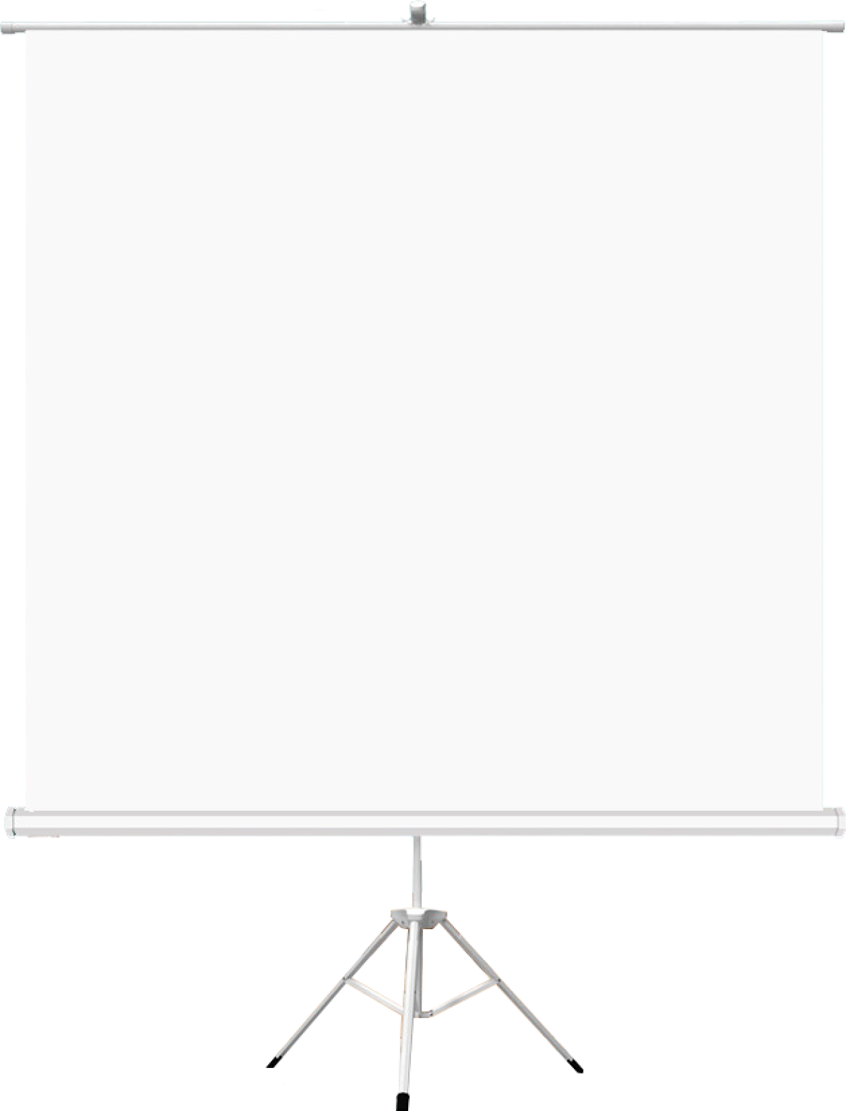 Проекторен екран на стойка ESTILLO, 180 x 180, 1:1, Бялна ниска цена с бърза доставка - BestPC.BG