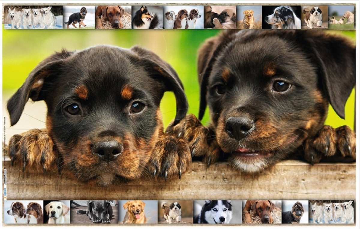 Продукт Herma Подложка за бюро, 55 x 35 cm, кучетана ниска цена с бърза доставка - BestPC.BG