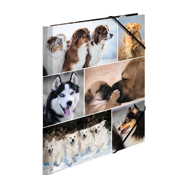 Herma Папка Animals, картонена, с ластик, A4, кучетана ниска цена с бърза доставка - BestPC.BG