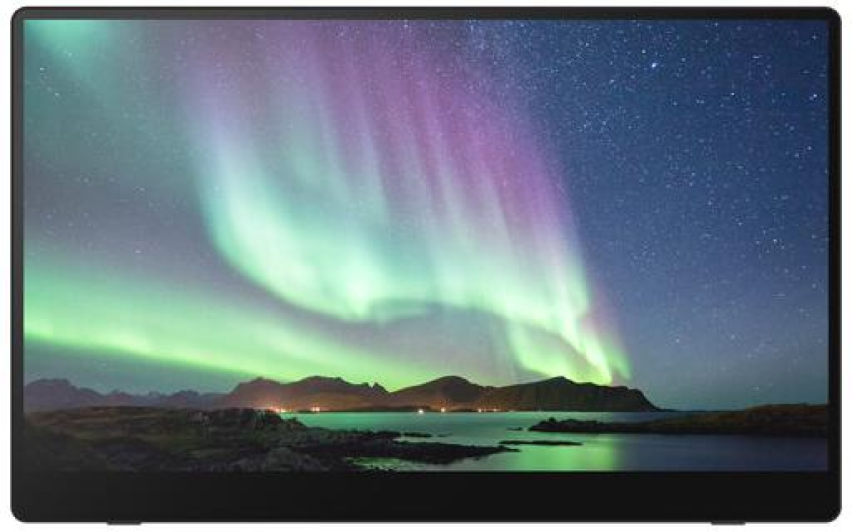 Преносим тъч монитор RICOH 150, OLED, 15.6, 560г, USB-Cна ниска цена с бърза доставка - BestPC.BG