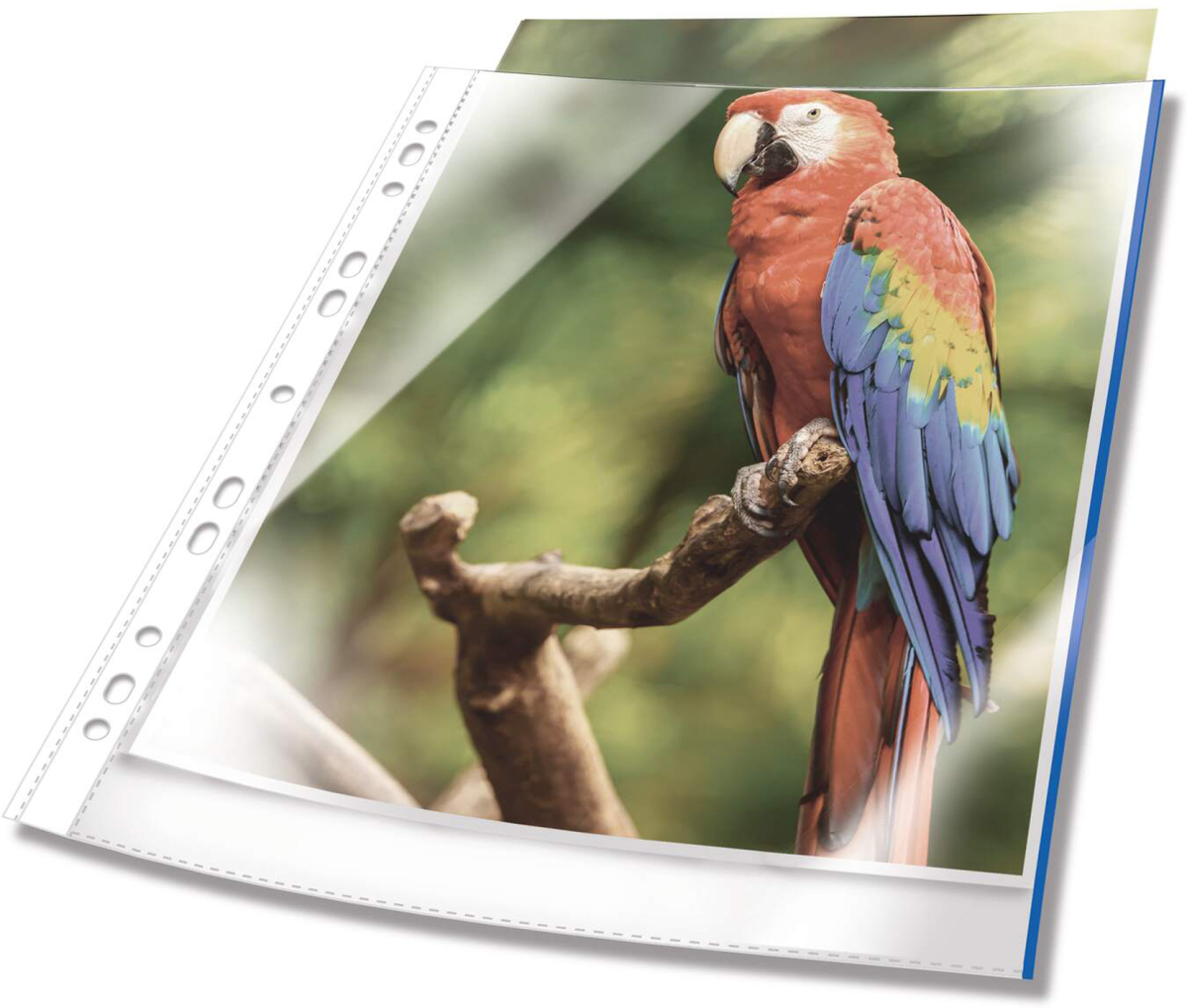 Durable Джоб за документи Premium, със синя лента, 10 брояна ниска цена с бърза доставка - BestPC.BG