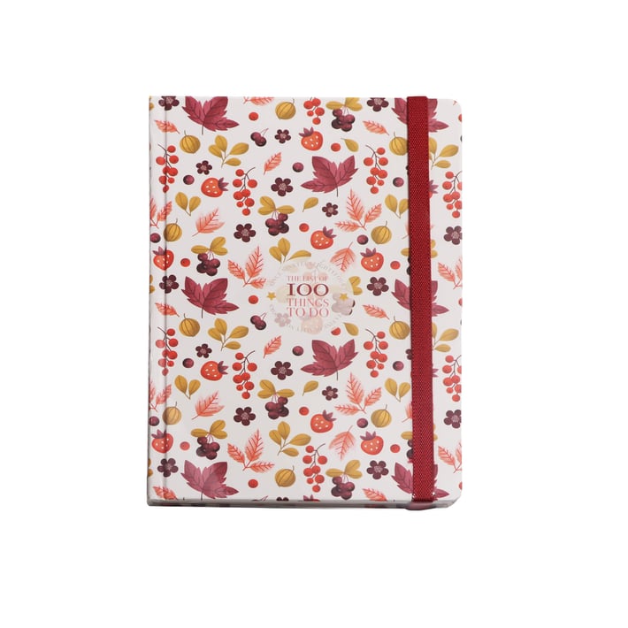 Gipta Тетрадка Minamax, 17 x 24 cm, кремава хартия, широки редове, 120 листана ниска цена с бърза доставка - BestPC.BG