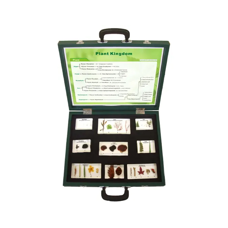 Продукт Gelsonlab Комплект Видове растения, в куфар, 9 частина ниска цена с бърза доставка - BestPC.BG