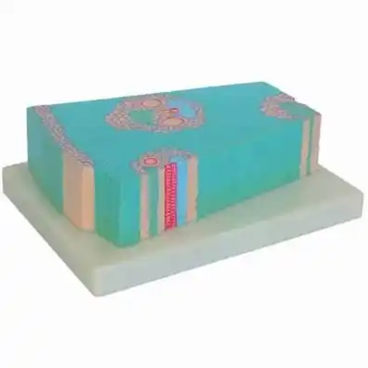 Продукт Gelsonlab Модел на едносемеделни стъблана ниска цена с бърза доставка - BestPC.BG