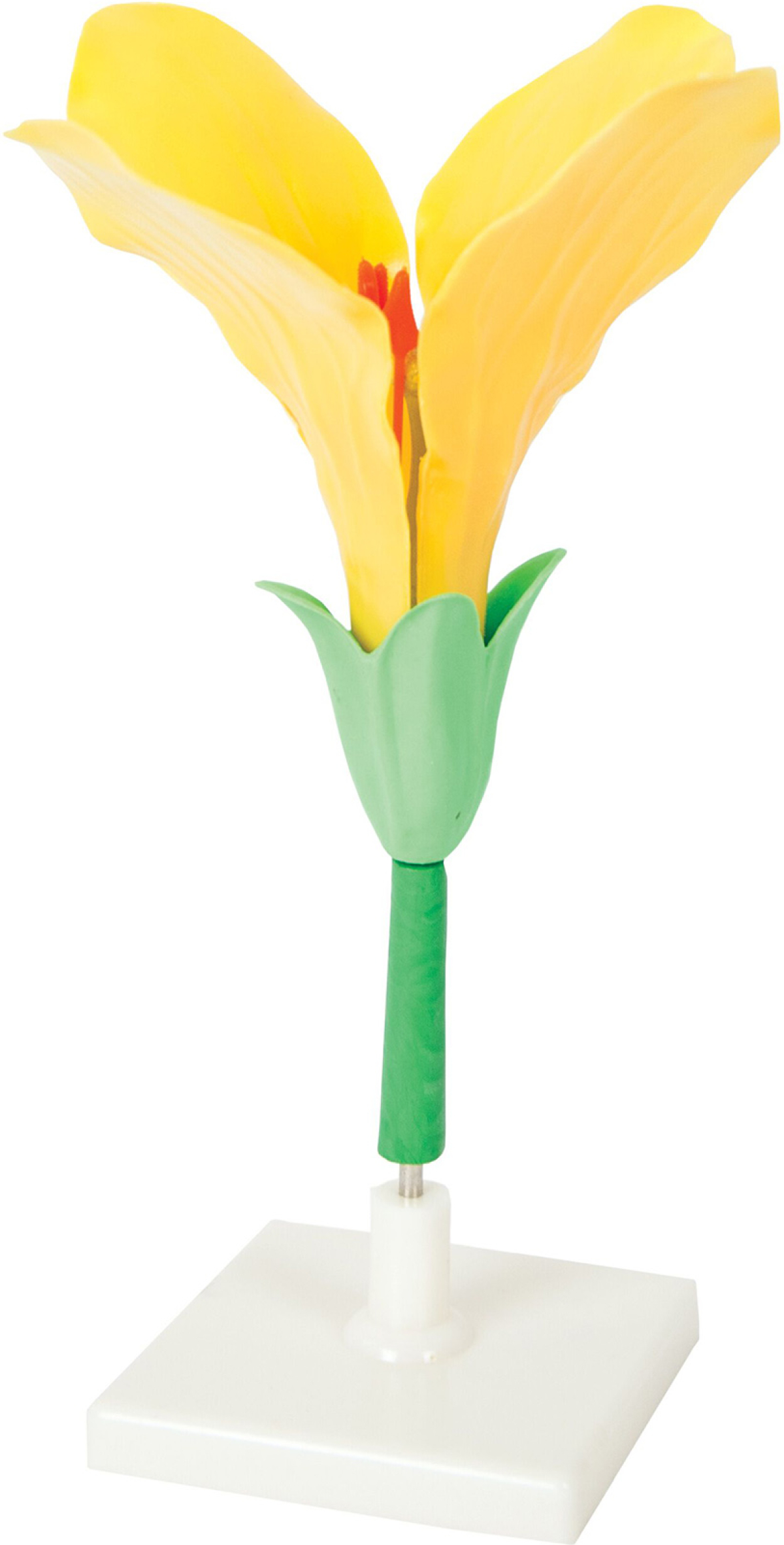 Продукт Gelsonlab Модел на цветена ниска цена с бърза доставка - BestPC.BG