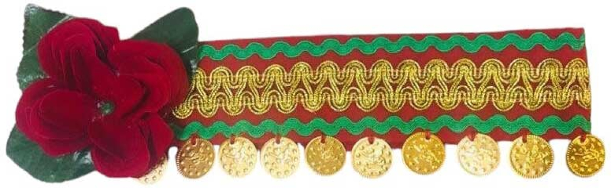 Продукт Косичник, детски, с шевица и паричкина ниска цена с бърза доставка - BestPC.BG