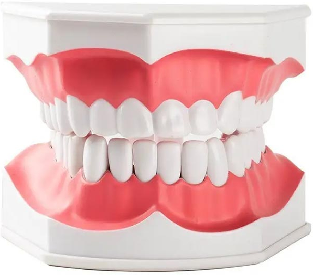 Gelsonlab Модел на устана ниска цена с бърза доставка - BestPC.BG