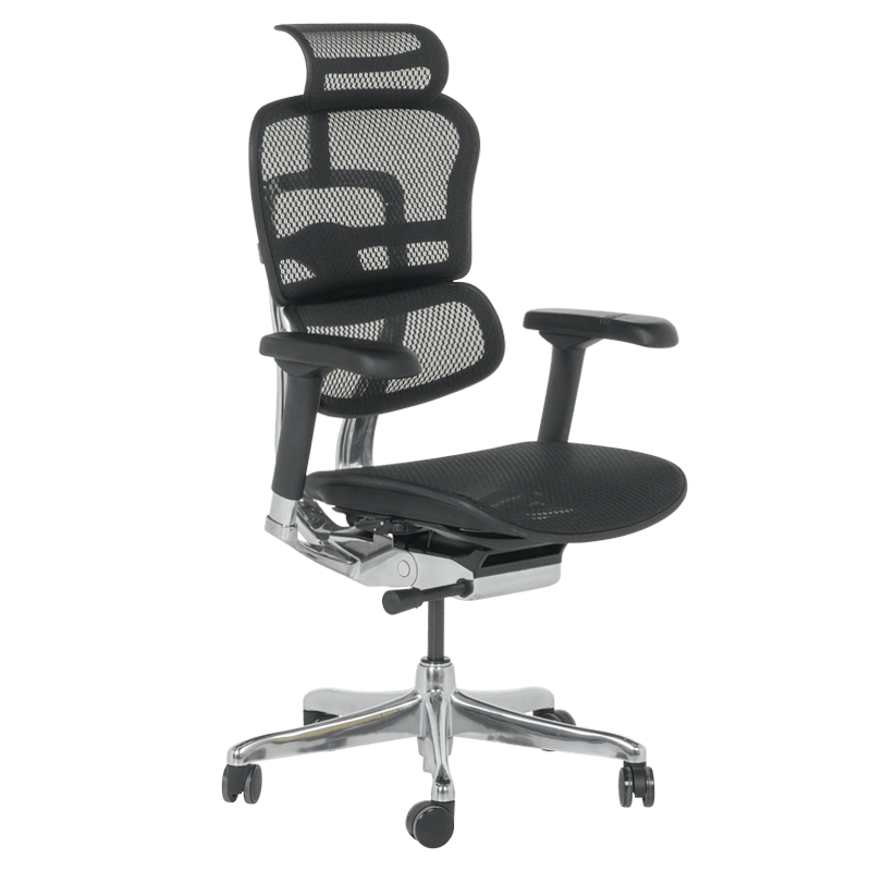 Ергономичен стол ERGOHUMAN ELITE 2 - черна рамка - черенна ниска цена с бърза доставка - BestPC.BG