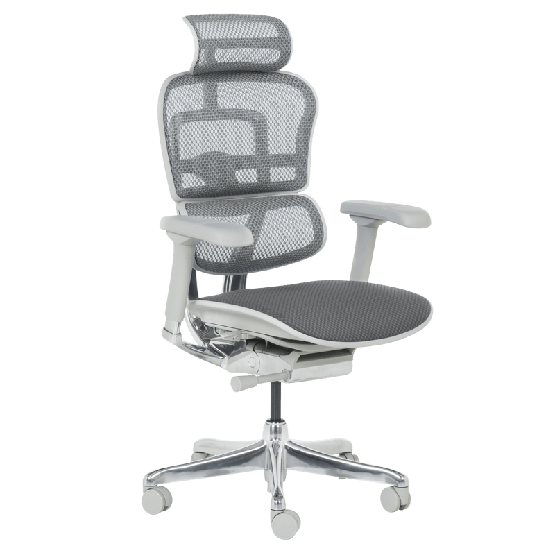 Ергономичен стол ERGOHUMAN ELITE 2 - сива рамка - сивна ниска цена с бърза доставка - BestPC.BG