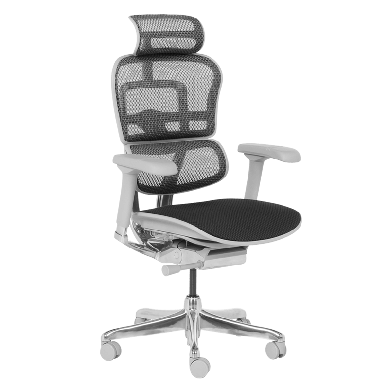 Ергономичен стол ERGOHUMAN ELITE 2 - сива рамка - черенна ниска цена с бърза доставка - BestPC.BG