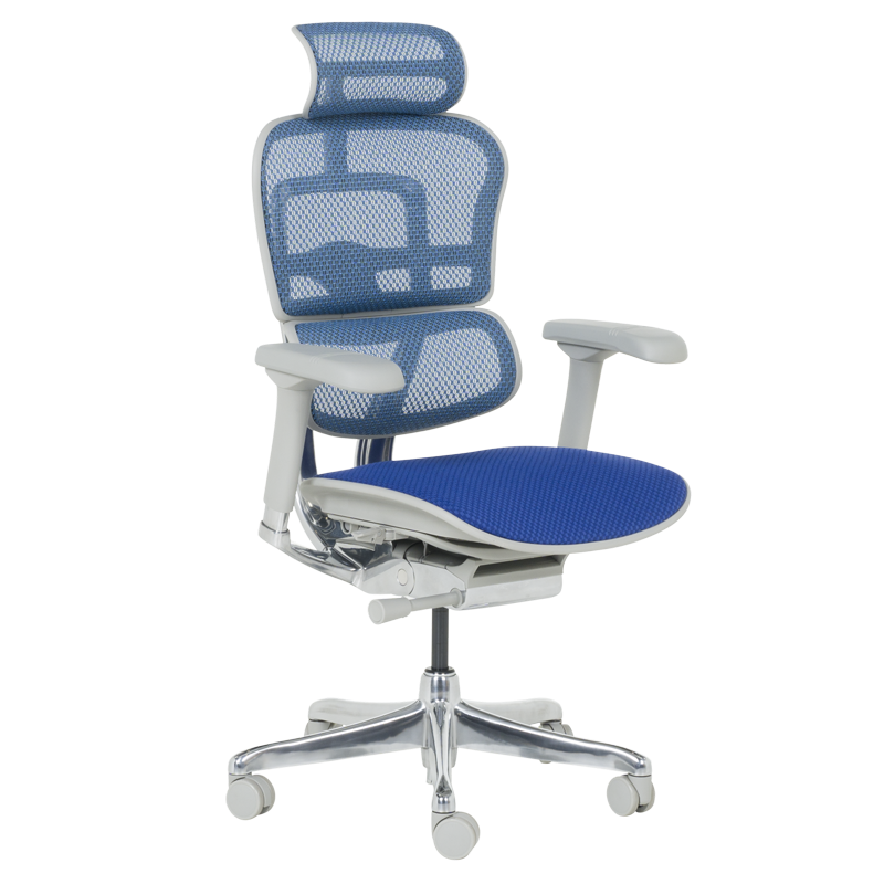 Ергономичен стол ERGOHUMAN ELITE 2 - сива рамка - синна ниска цена с бърза доставка - BestPC.BG