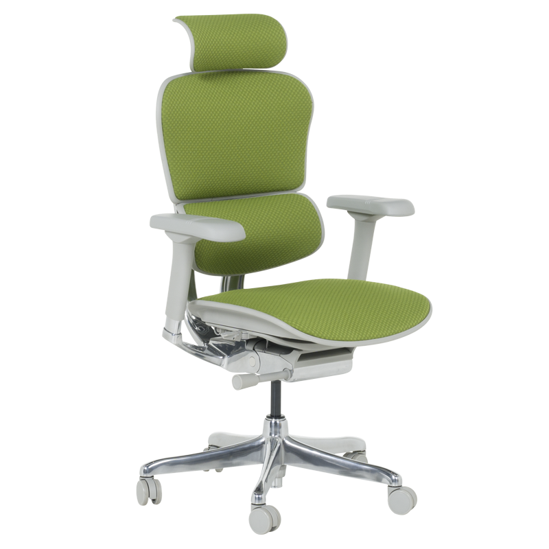 Ергономичен стол ERGOHUMAN ELITE 2 - сива рамка - зеленна ниска цена с бърза доставка - BestPC.BG