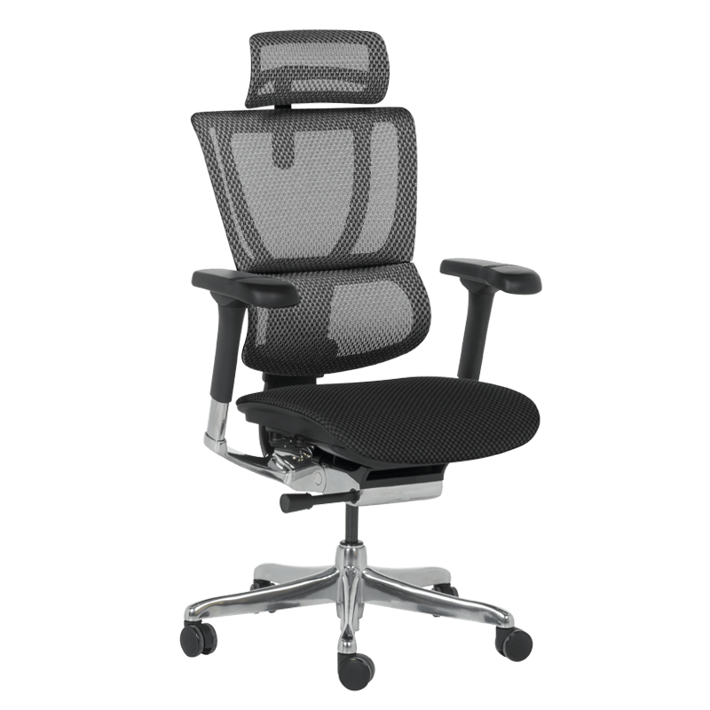 Ергономичен стол ERGOHUMAN IOO ELITE 2 - черна рамка - черенна ниска цена с бърза доставка - BestPC.BG