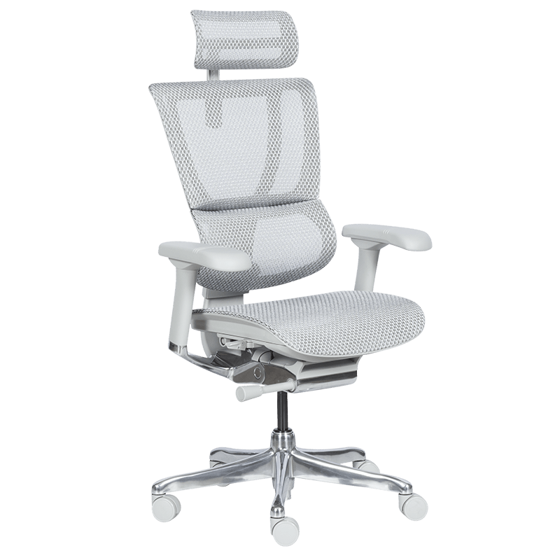 Ергономичен стол ERGOHUMAN IOO ELITE 2 - сива рамка - сивна ниска цена с бърза доставка - BestPC.BG