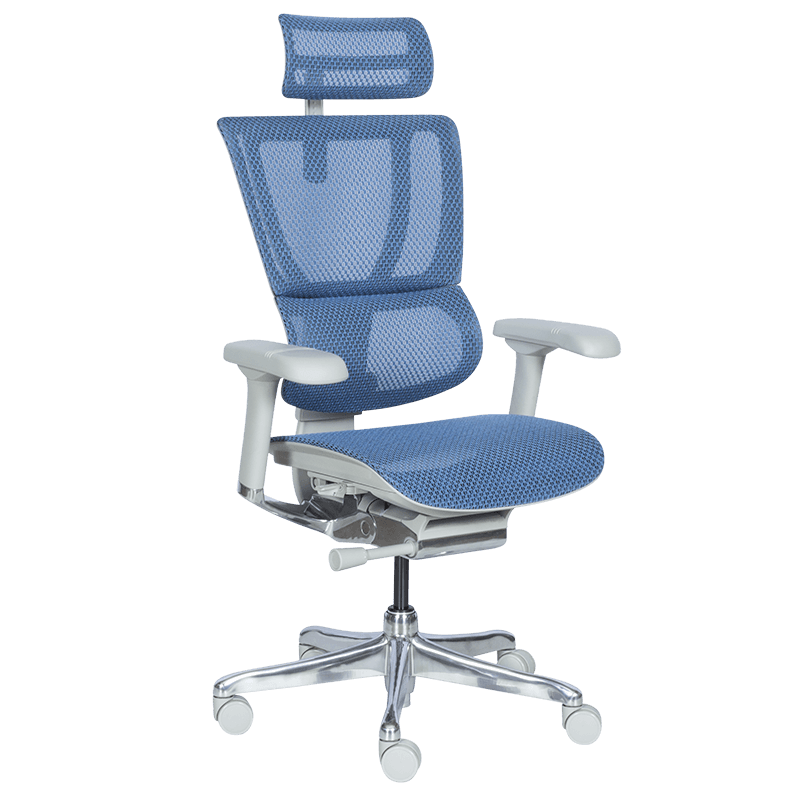 Ергономичен стол ERGOHUMAN IOO ELITE 2 - сива рамка - синна ниска цена с бърза доставка - BestPC.BG