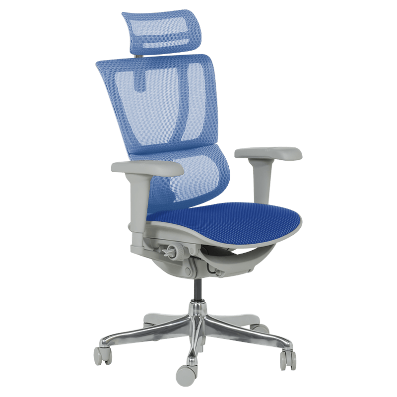 Ергономичен стол ERGOHUMAN IOO ULTRA - сива рамка - синна ниска цена с бърза доставка - BestPC.BG