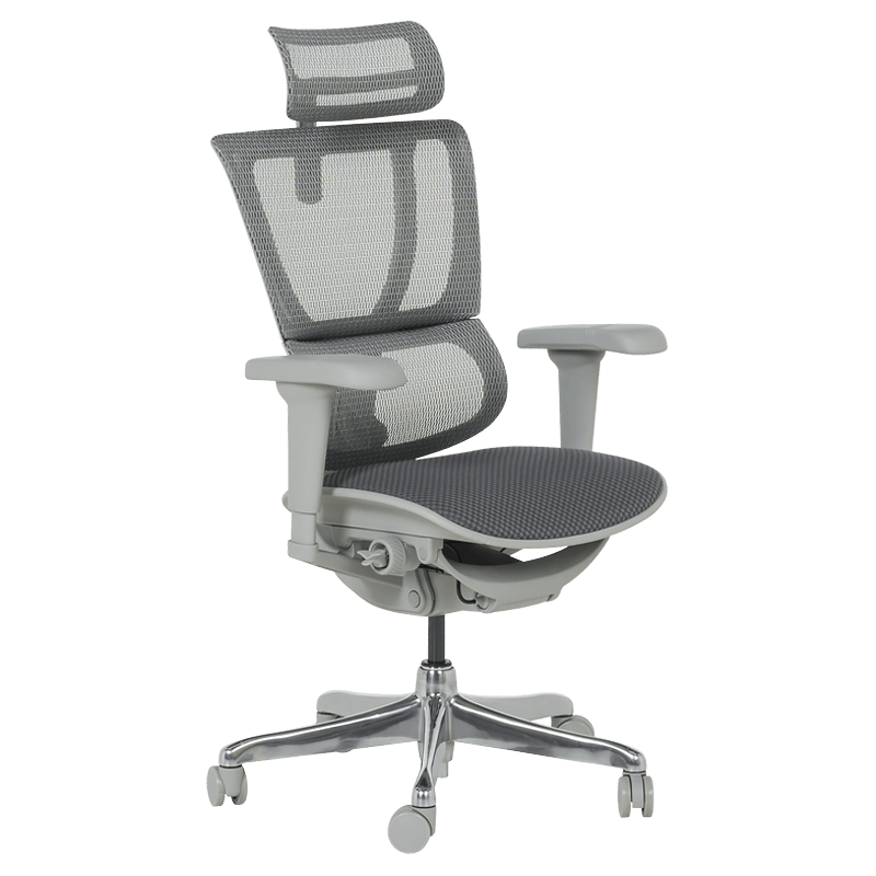 Ергономичен стол ERGOHUMAN IOO ULTRA - сива рамка - сивна ниска цена с бърза доставка - BestPC.BG