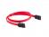 Кабел/адаптер Lanberg SATA DATA III (6GB-S) F-F cable 30cm, red снимка 1