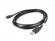 Кабел/адаптер Lanberg USB MINI-B(M) -- USB-A (M) 2.0 cable 1.8m, black (Canon) снимка 2