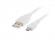 Кабел/адаптер Lanberg USB MICRO-B (M)  --  USB-A (M) 2.0 cable 0.3m, white снимка 1