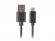 Кабел/адаптер Lanberg USB-C(M) --  USB-A (M) 2.0 cable 0.5m, black снимка 2