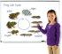 Продукт Learning Resources Магнитен комплект Жизнен цикъл на жаба снимка 2