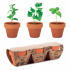 Продукт More Than Gifts Комплект билки Flowerpot, в саксия, 3 броя снимка 1