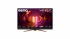 Монитор BenQ MOBIUZ EX270M, 27" 1920 x 1080 FHD, 1ms, 240Hz, HDMI, DP, USB, IPS снимка 2