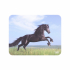 Подложка за мишка TNB Пад за мишка Illustrated Horses снимка 1