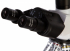 Микроскоп Bresser Researcher Trino 40–1000x снимка 8