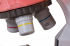 Микроскоп Levenhuk LabZZ M101 снимка 7