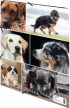 Herma Папка Animals, картонена, с ластик, A4, кучета снимка 4
