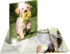 Herma Папка Animals, картонена, с ластик, A4, PP, кучета снимка 3