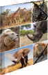 Herma Папка Animals, картонена, с ластик, A4, с африкански животни снимка 1
