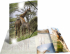 Herma Папка Animals, картонена, с ластик, A4, PP, с африкански житовни снимка 3