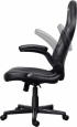 Геймърски стол TRUST GXT703 Riye Gaming Chair Черен снимка 4