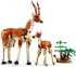 LEGO Creator - Wild Safari Animals - 31150 снимка 3