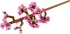 LEGO Cherry Blossoms Botanical Collection - 40725 снимка 2