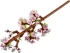  LEGO Cherry Blossoms Botanical Collection - 40725 снимка 3